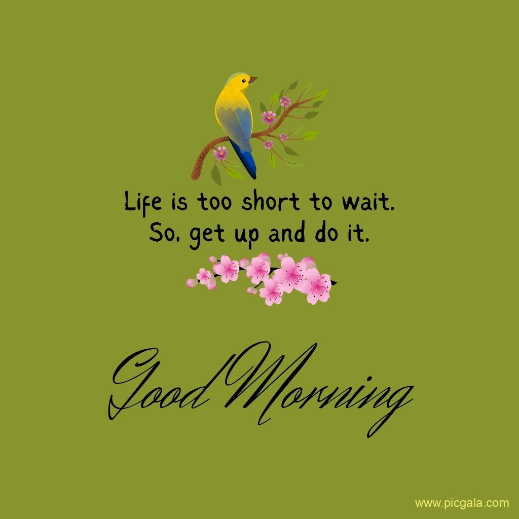 A bird sitting on a branch. quote or quotation. Good morning images