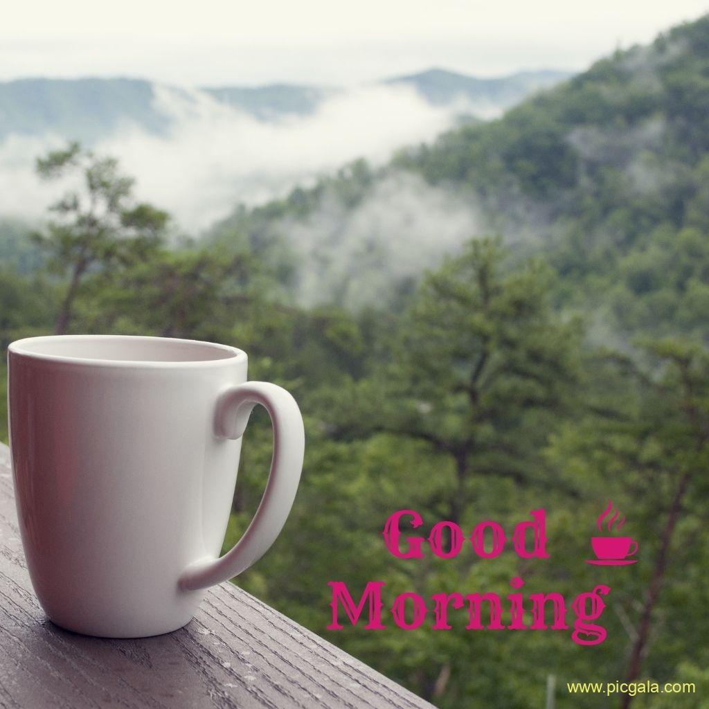 A cup of tea on the wooden plank and the green mountaineer region with clouds. Good morning images