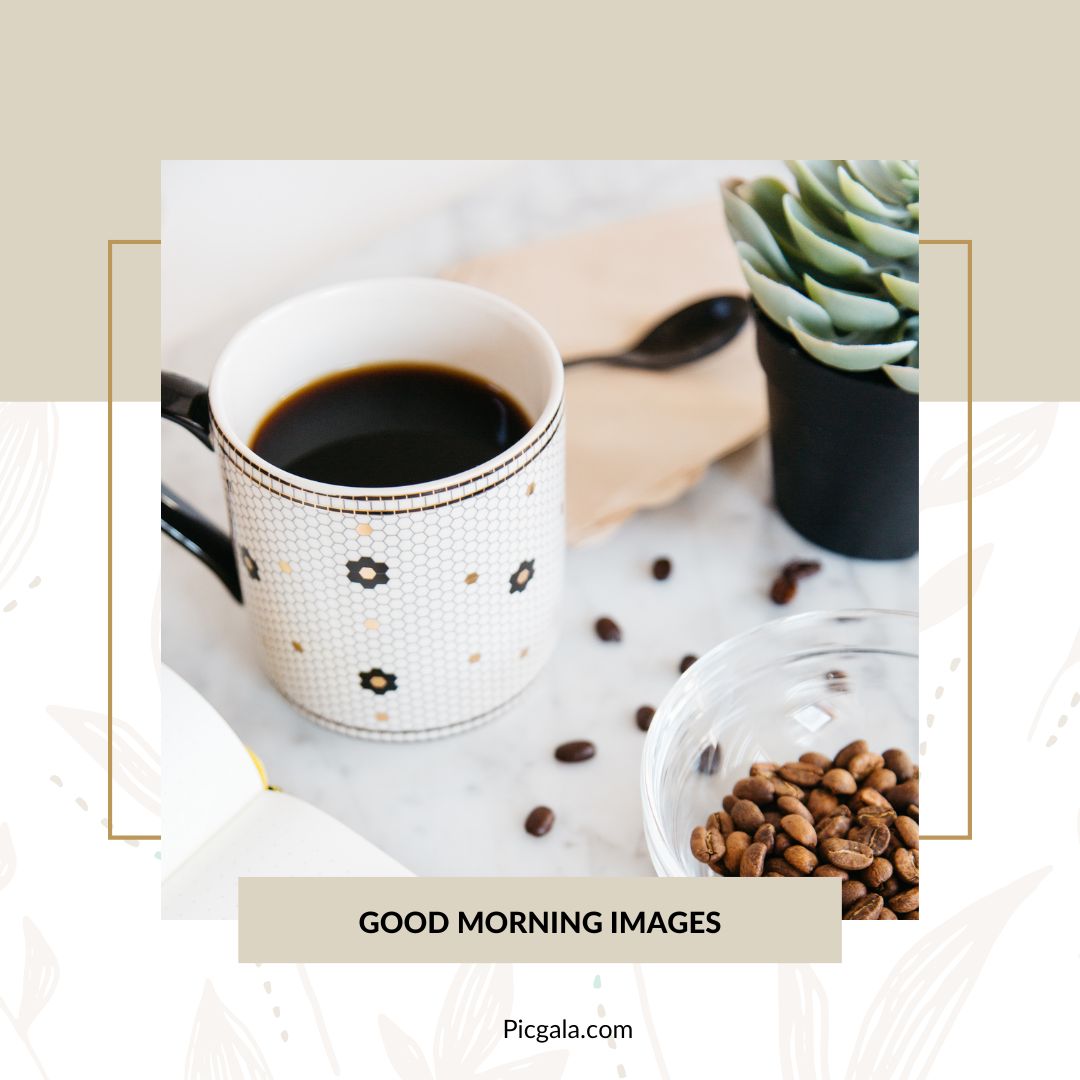 Good Morning Featured Image